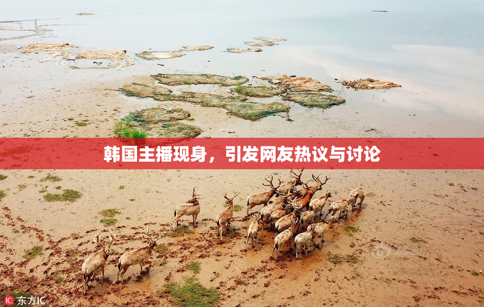 韩国主播现身，引发网友热议与讨论