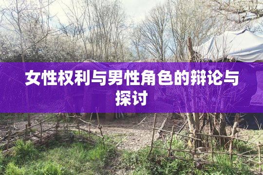 女性权利与男性角色的辩论与探讨