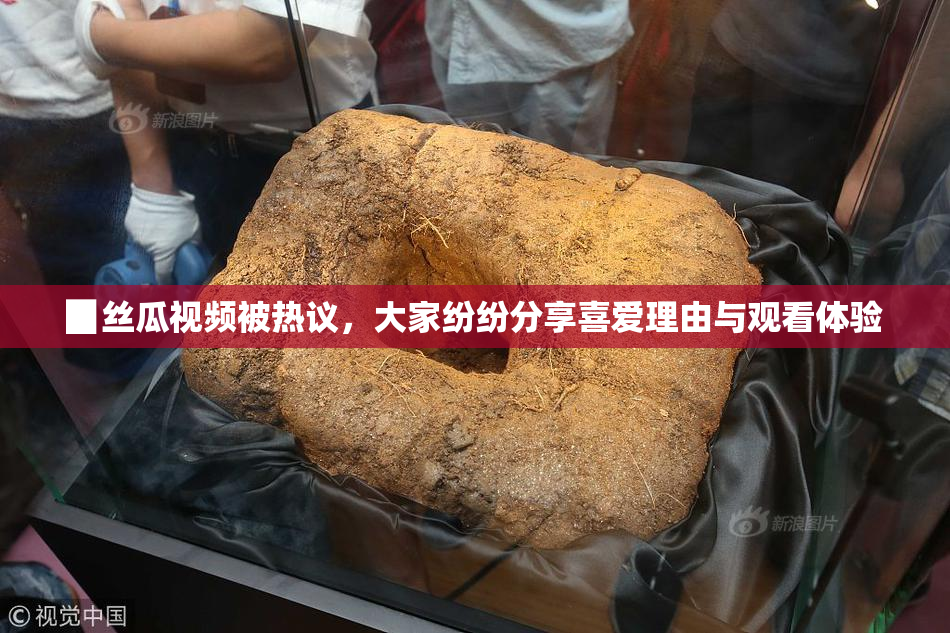 ▉丝瓜视频被热议，大家纷纷分享喜爱理由与观看体验