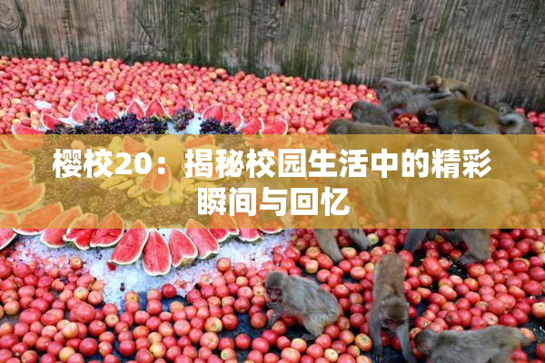 樱校20：揭秘校园生活中的精彩瞬间与回忆