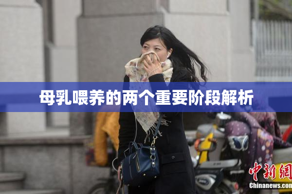 母乳喂养的两个重要阶段解析