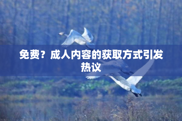 免费？成人内容的获取方式引发热议