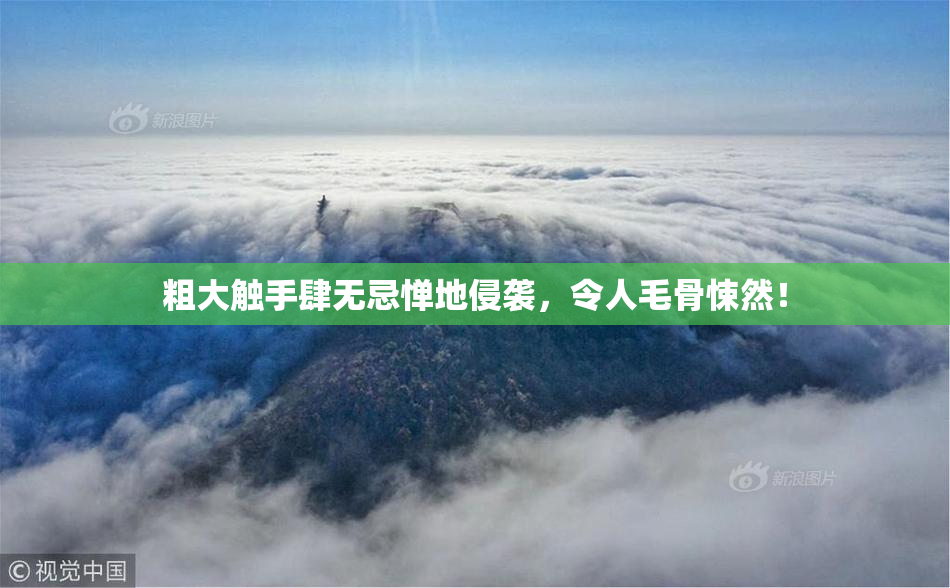 粗大触手肆无忌惮地侵袭，令人毛骨悚然！
