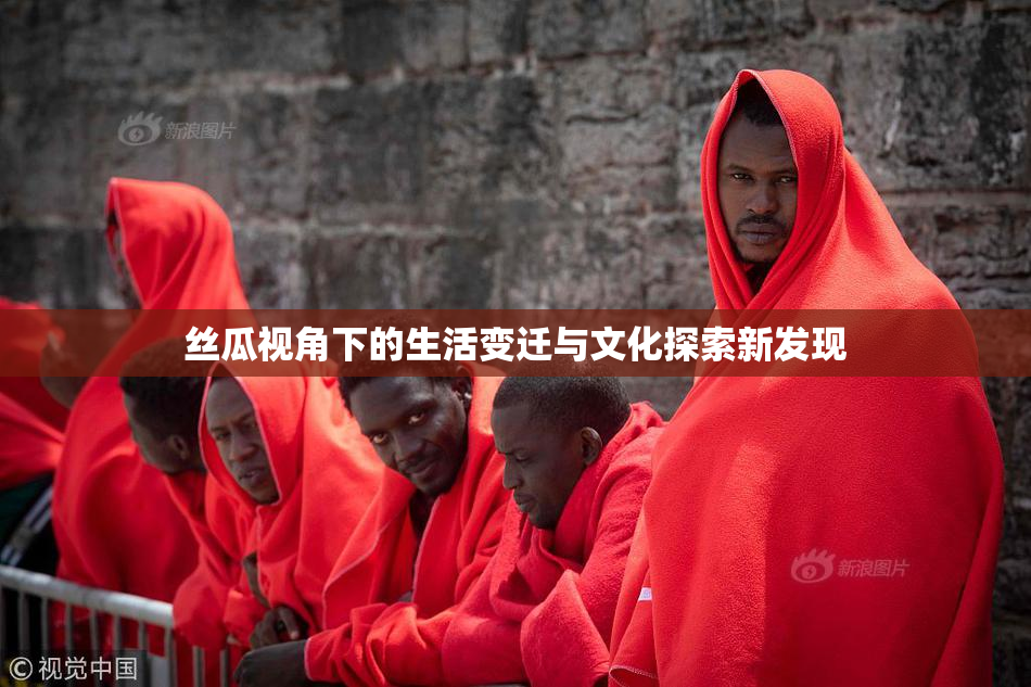 丝瓜视角下的生活变迁与文化探索新发现