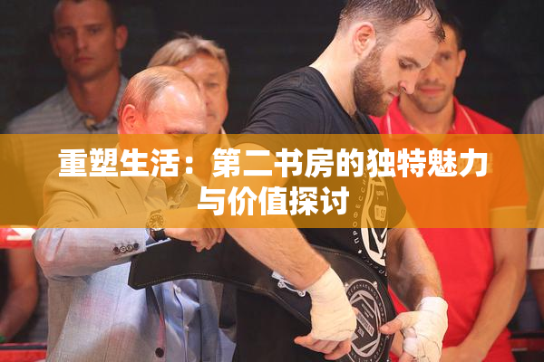 重塑生活：第二书房的独特魅力与价值探讨
