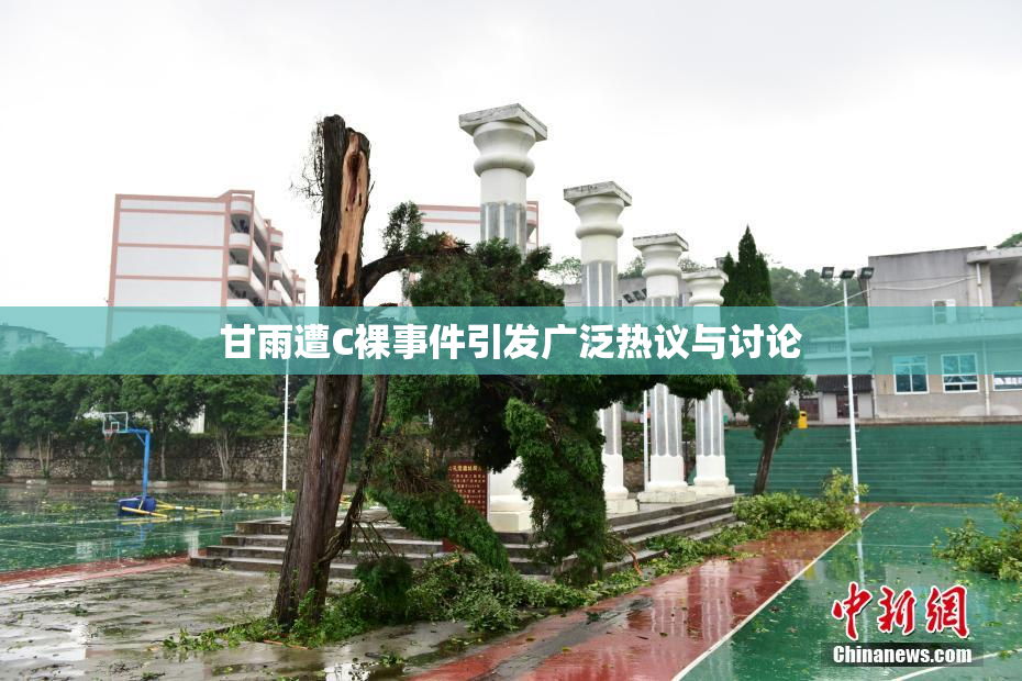 甘雨遭C裸事件引发广泛热议与讨论
