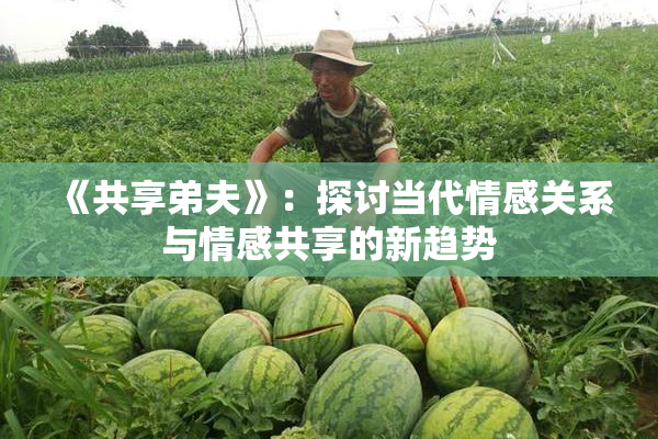 《共享弟夫》：探讨当代情感关系与情感共享的新趋势
