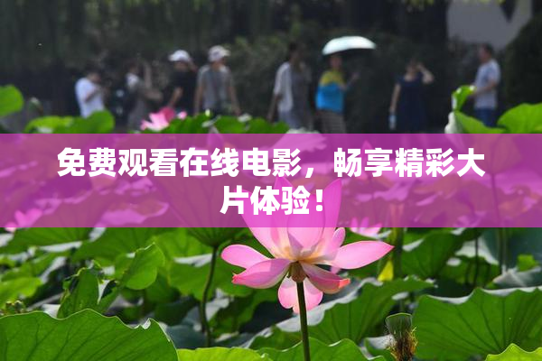 免费观看在线电影，畅享精彩大片体验！