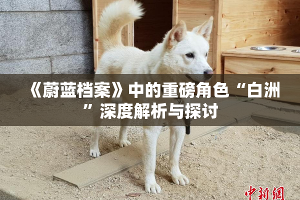 《蔚蓝档案》中的重磅角色“白洲”深度解析与探讨