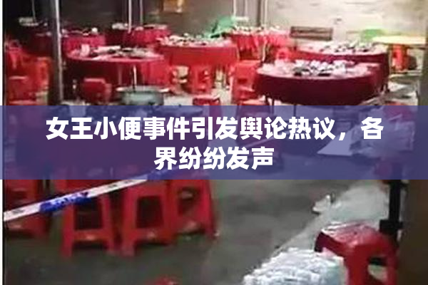 女王小便事件引发舆论热议，各界纷纷发声