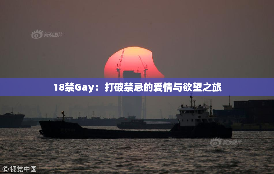 18禁Gay：打破禁忌的爱情与欲望之旅