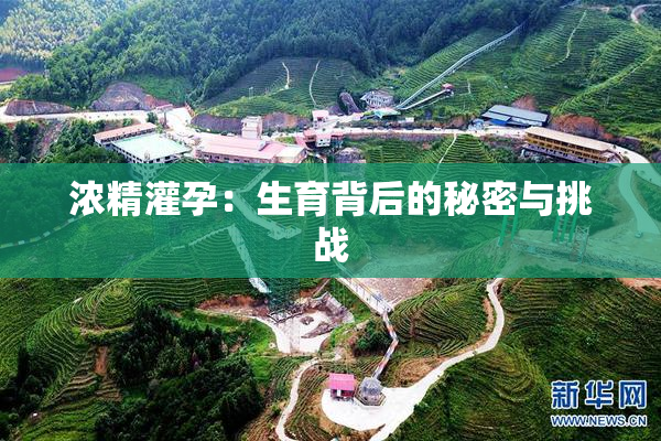 浓精灌孕：生育背后的秘密与挑战