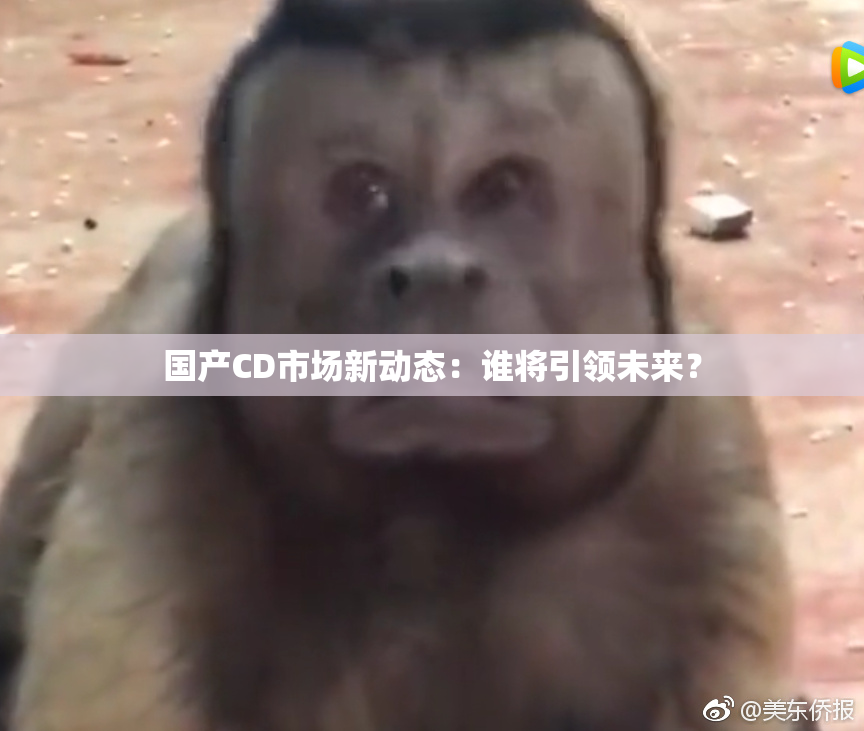 国产CD市场新动态：谁将引领未来？