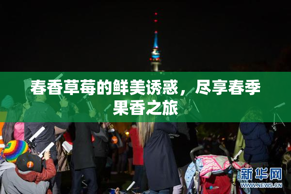 春香草莓的鲜美诱惑，尽享春季果香之旅