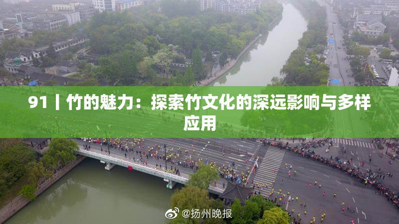 91丨竹的魅力：探索竹文化的深远影响与多样应用