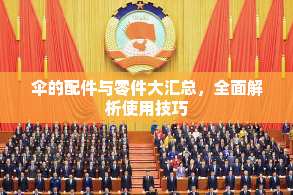 伞的配件与零件大汇总，全面解析使用技巧
