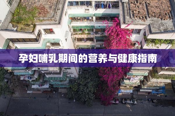 孕妇哺乳期间的营养与健康指南