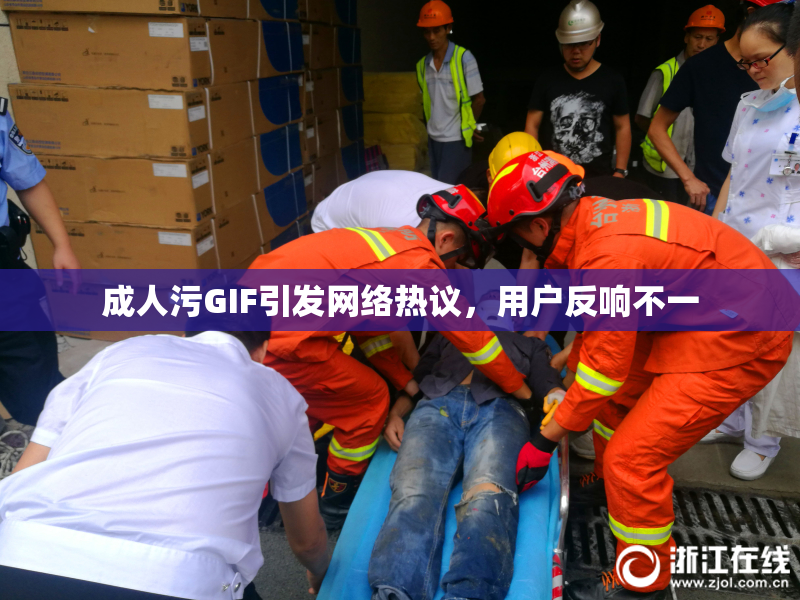 成人污GIF引发网络热议，用户反响不一