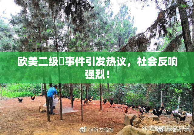欧美二级婬事件引发热议，社会反响强烈！