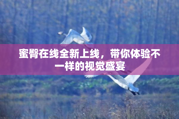 蜜臀在线全新上线，带你体验不一样的视觉盛宴