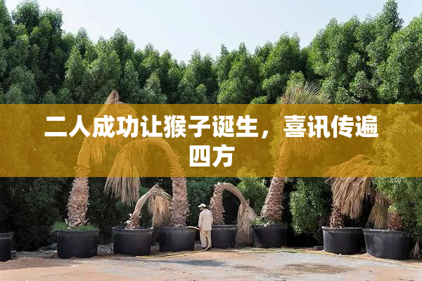 二人成功让猴子诞生，喜讯传遍四方
