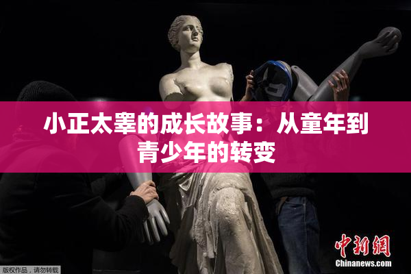 小正太睾的成长故事：从童年到青少年的转变