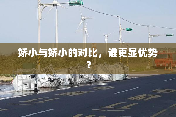 娇小与娇小的对比，谁更显优势？