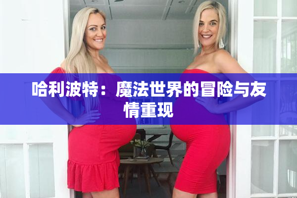 哈利波特：魔法世界的冒险与友情重现