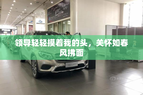 领导轻轻摸着我的头，关怀如春风拂面