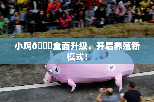 小鸡🐔全面升级，开启养殖新模式！