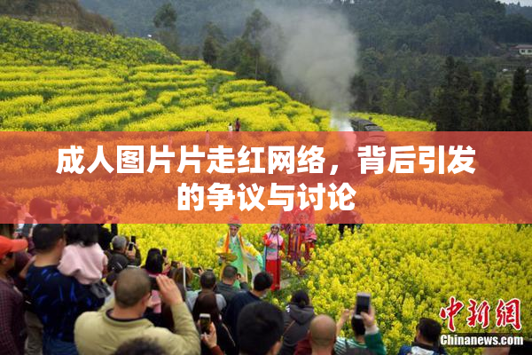 成人图片片走红网络，背后引发的争议与讨论