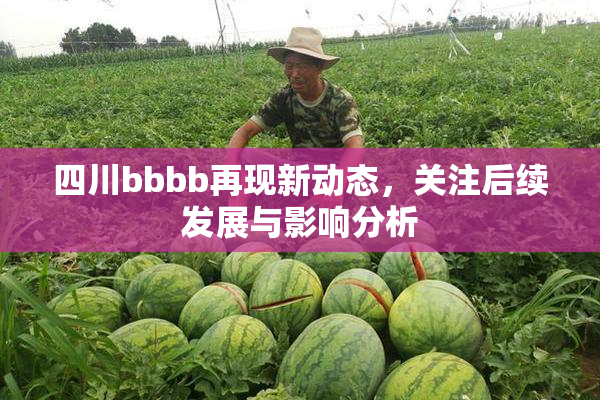 四川bbbb再现新动态，关注后续发展与影响分析