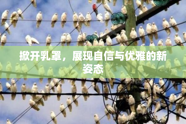 掀开乳罩，展现自信与优雅的新姿态