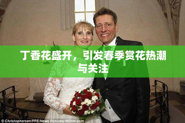 丁香花盛开，引发春季赏花热潮与关注