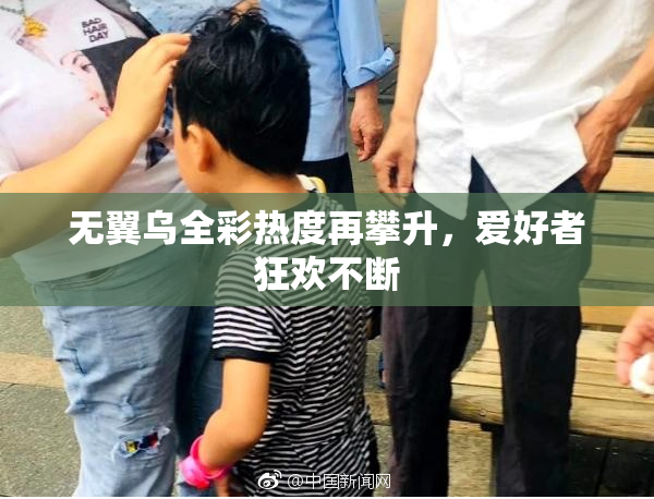 无翼乌全彩热度再攀升，爱好者狂欢不断
