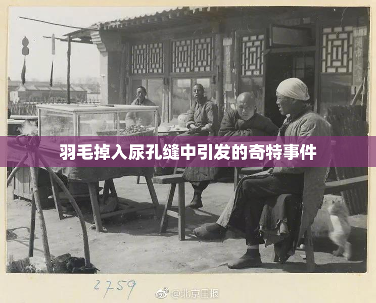 羽毛掉入尿孔缝中引发的奇特事件