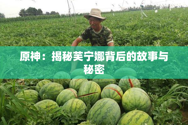 原神：揭秘芙宁娜背后的故事与秘密