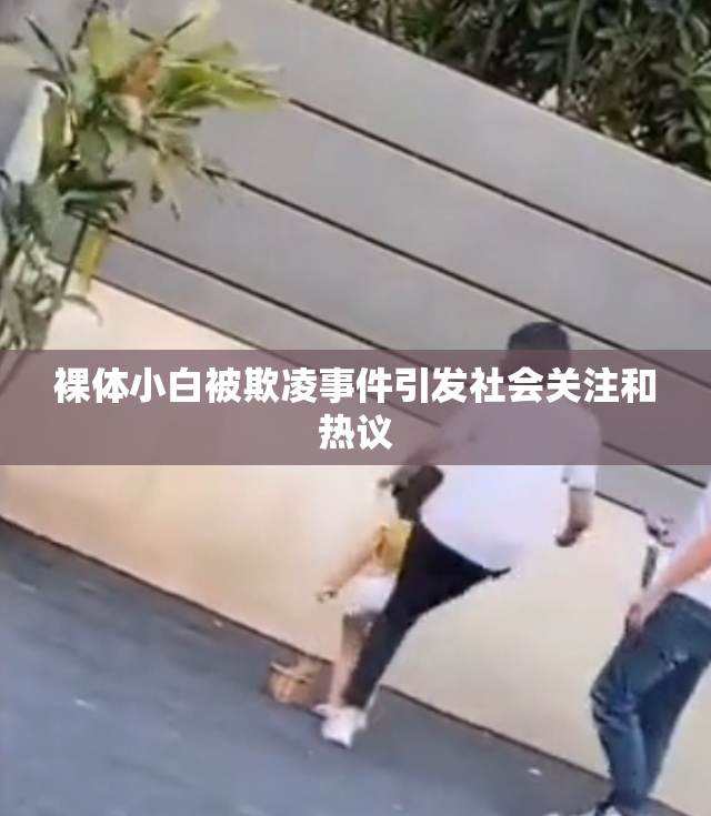 裸体小白被欺凌事件引发社会关注和热议
