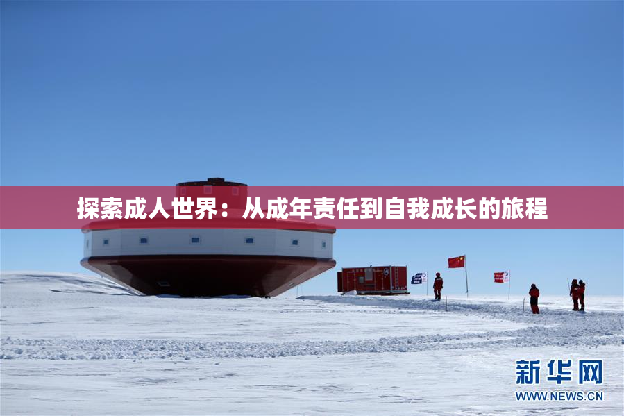 探索成人世界：从成年责任到自我成长的旅程