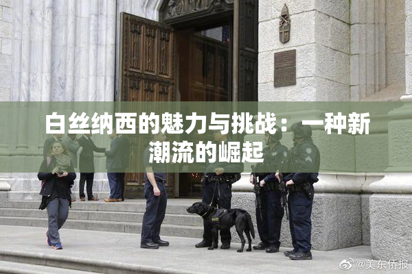 白丝纳西的魅力与挑战：一种新潮流的崛起
