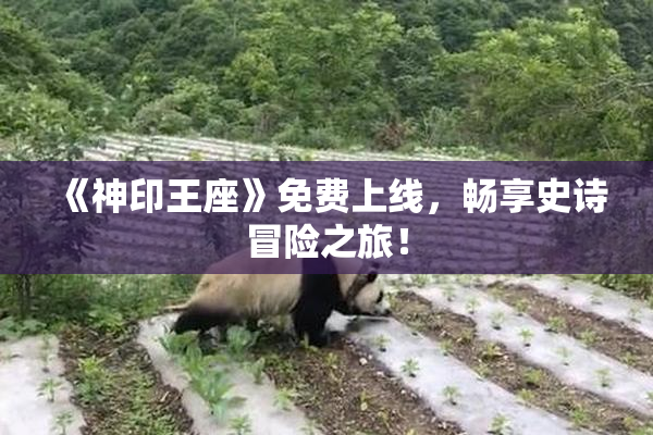 《神印王座》免费上线，畅享史诗冒险之旅！