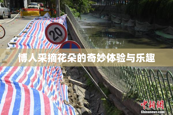 博人采摘花朵的奇妙体验与乐趣