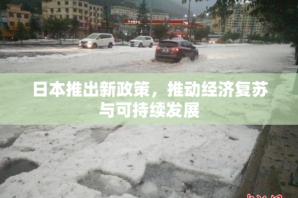 日本推出新政策，推动经济复苏与可持续发展