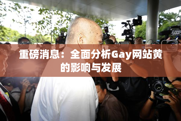 重磅消息：全面分析Gay网站黄的影响与发展