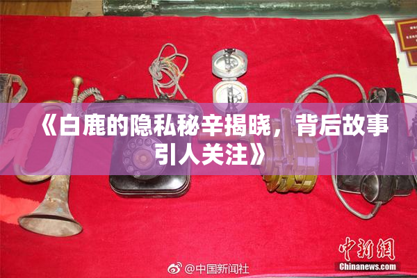 《白鹿的隐私秘辛揭晓，背后故事引人关注》