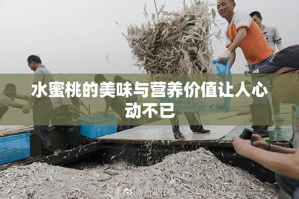 水蜜桃的美味与营养价值让人心动不已