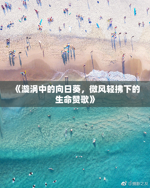 《漩涡中的向日葵，微风轻拂下的生命赞歌》