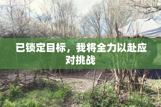 已锁定目标，我将全力以赴应对挑战
