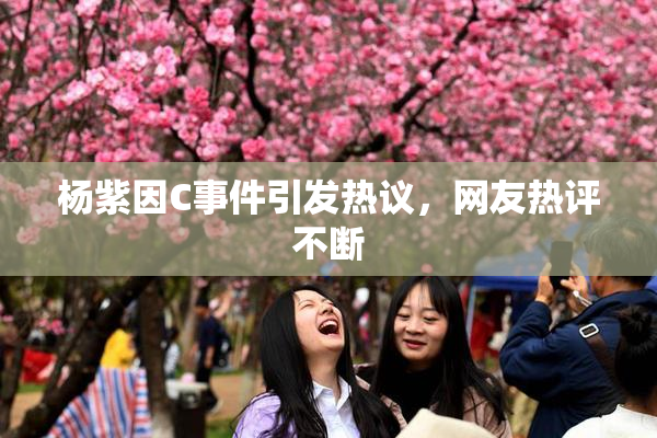 杨紫因C事件引发热议，网友热评不断