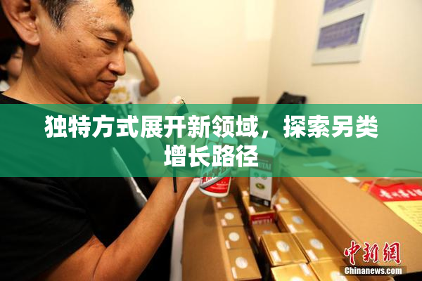 独特方式展开新领域，探索另类增长路径